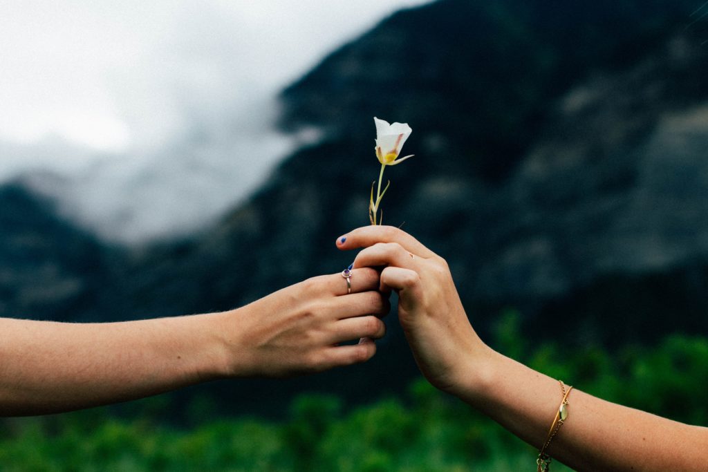 one hand passing a flower to another hand